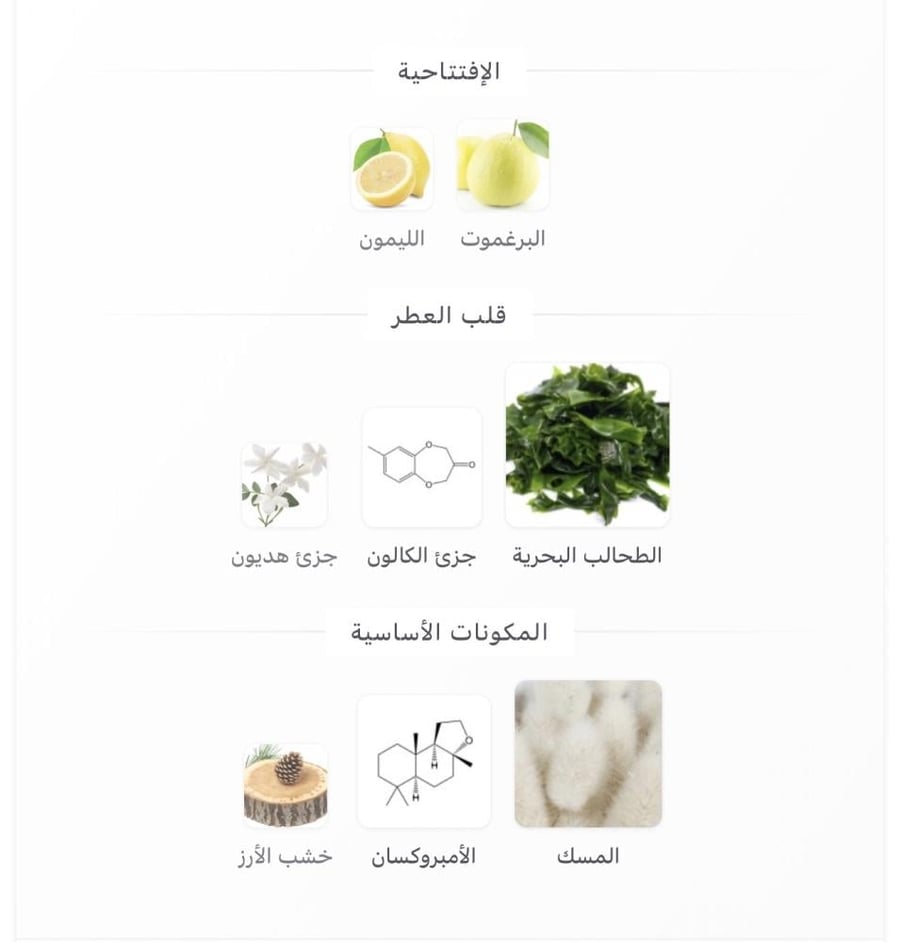 مستوحى ميقامير اوترو باريسي - 100 مل