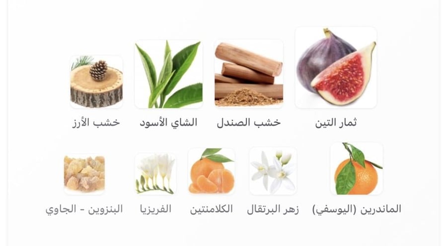 مستوحى فيغ إنفيوجن إسينشال بارفيومز - 100 مل