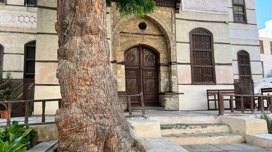شجرة أمام مبنى في البلد جدة