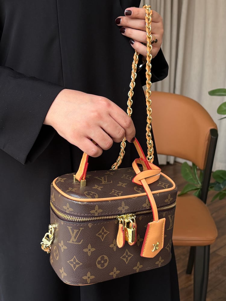 Louis Vuitton bag