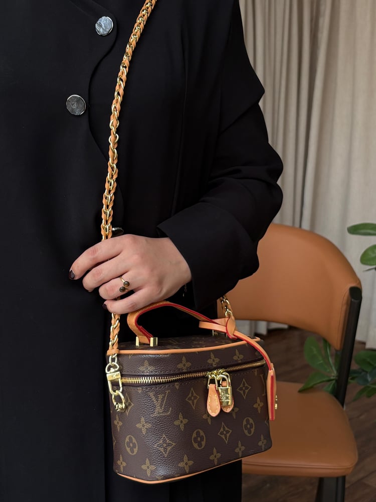 Louis Vuitton bag