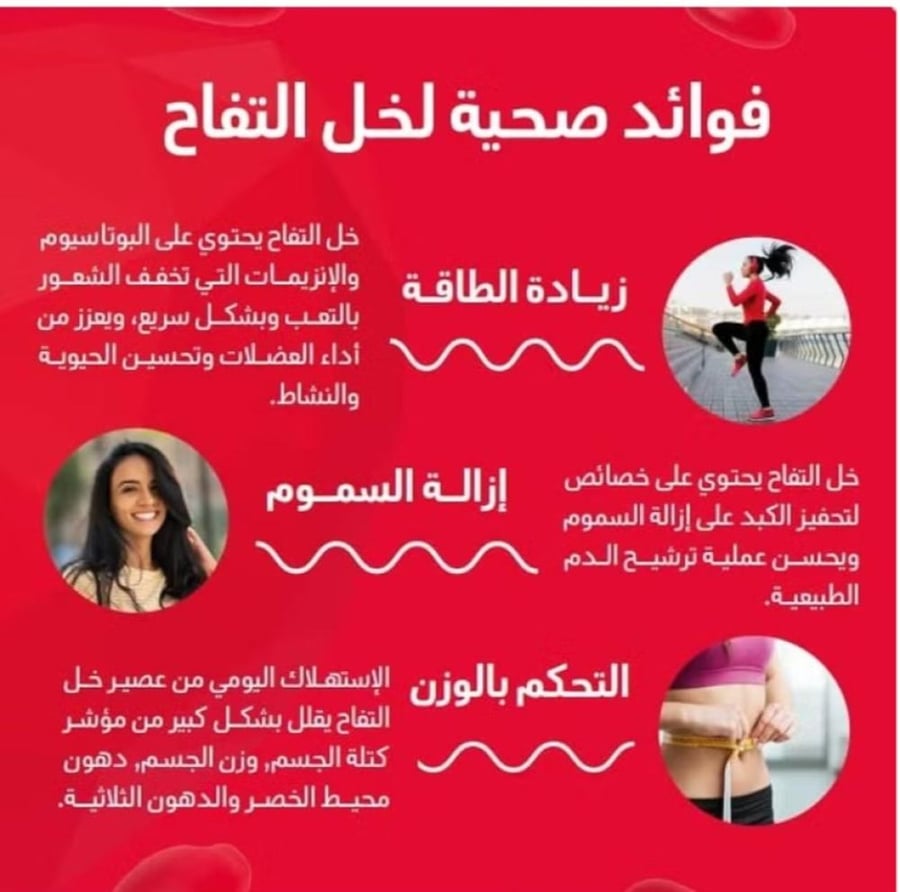 هوليستا فيتا لايت علكات خل التفاح ٢٠٠ مجم ٩٠ علكة