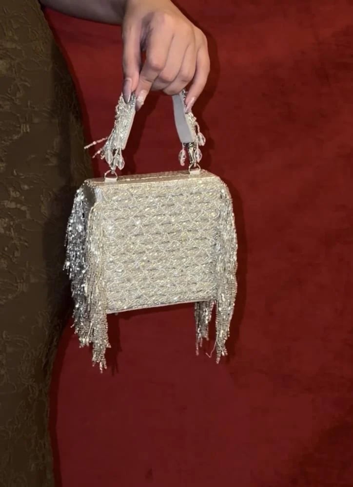 Silver shiny bag