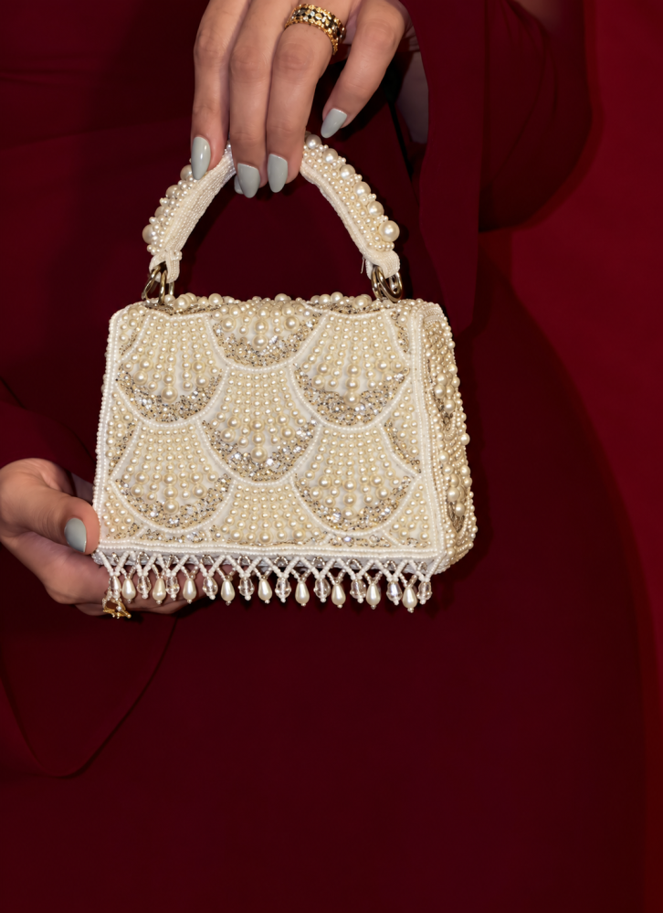 Shiny bag