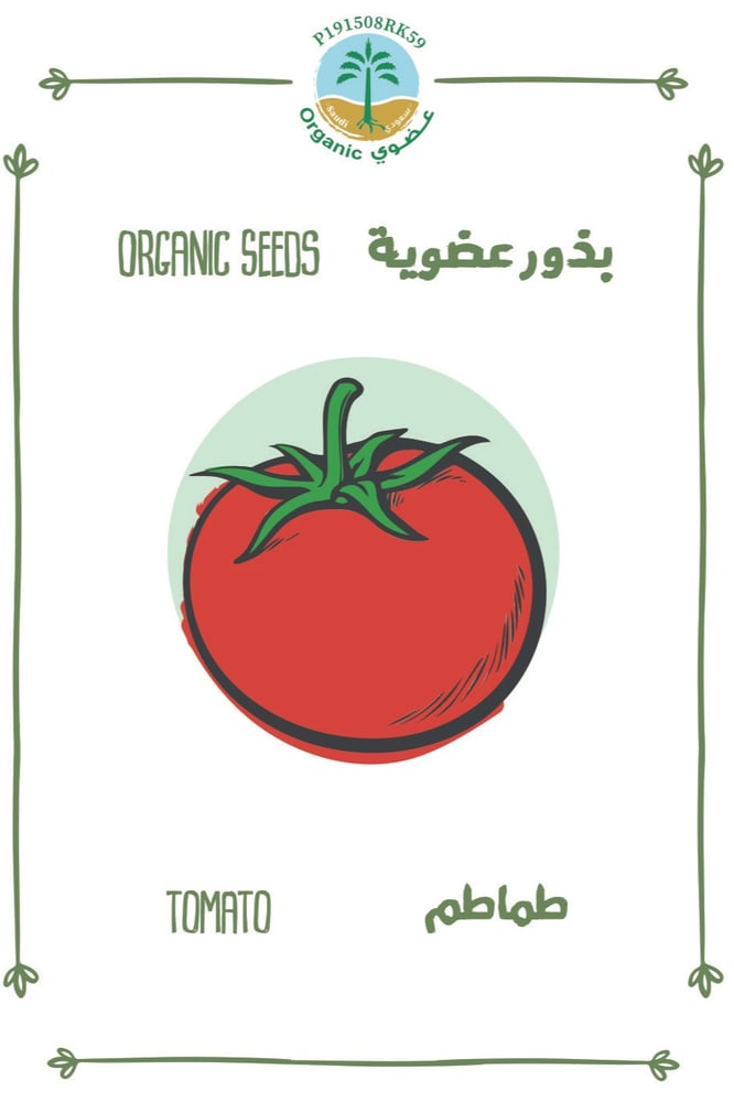 بذور طماطم كبير (عضوي)