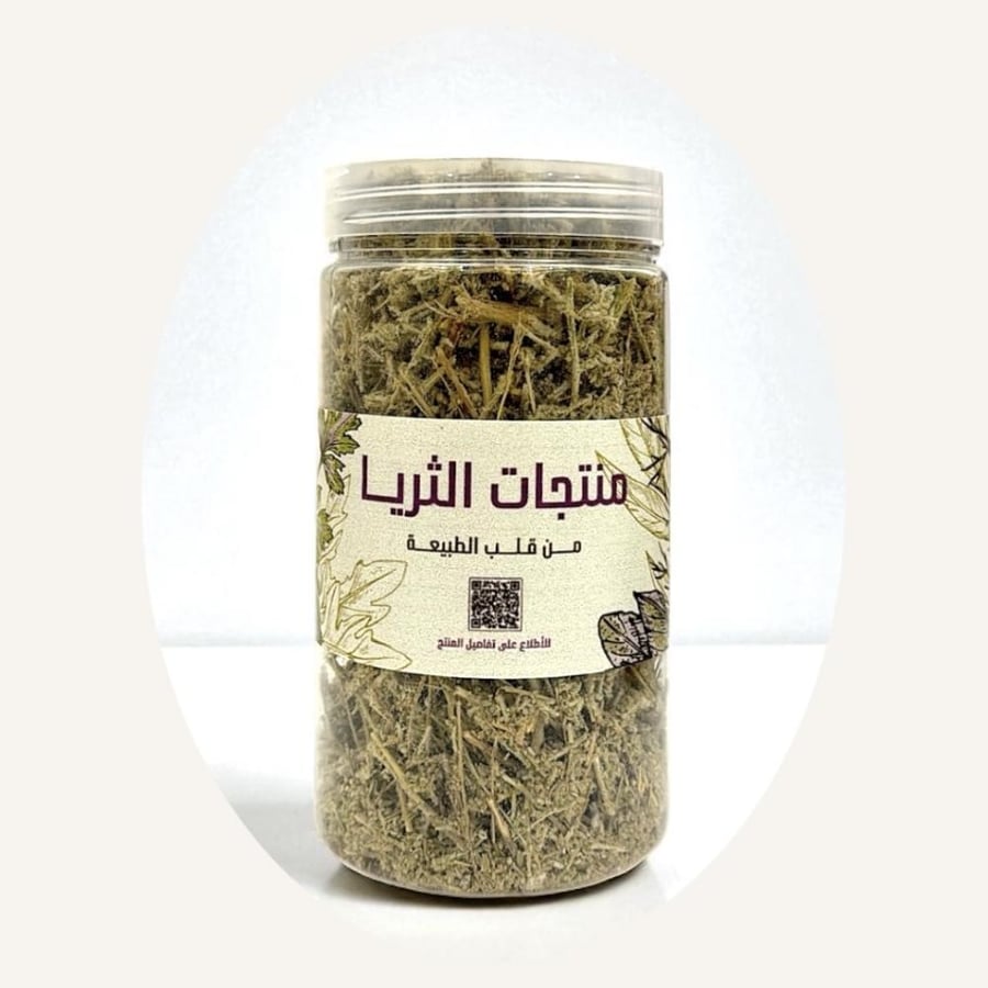 الشيح
