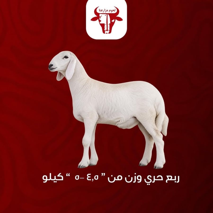 ربع حري وزن (4.5 - 5) كيلو