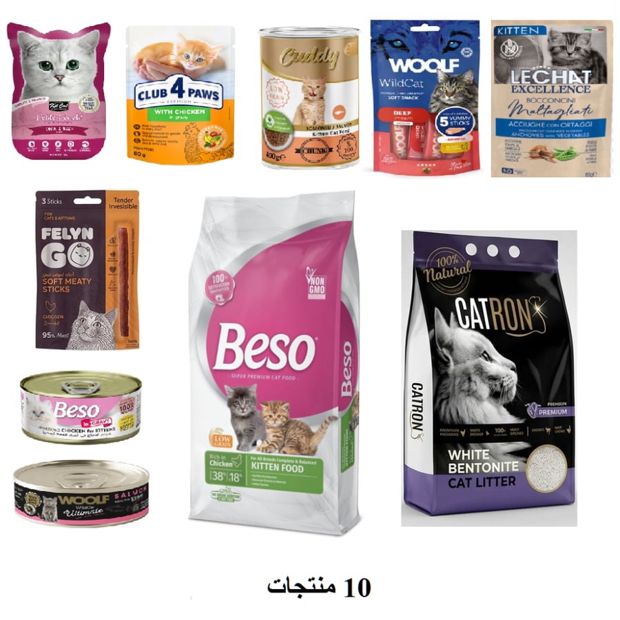 عرض اليوم الوطني للقطط الصغيرة