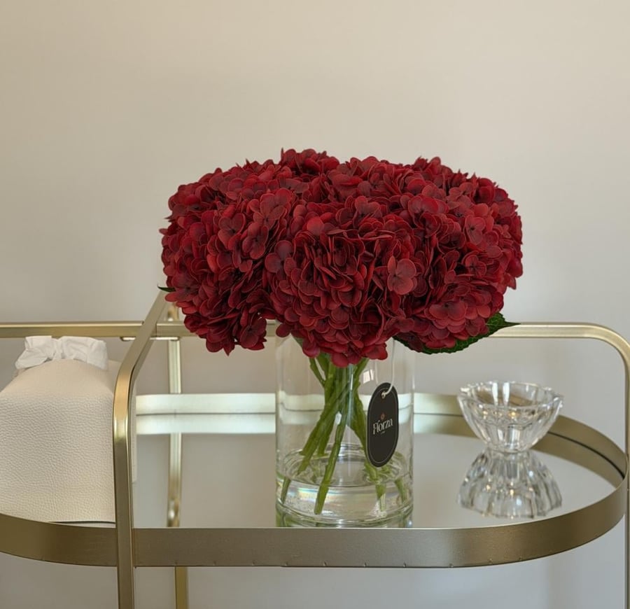 Velvet Hydrangea