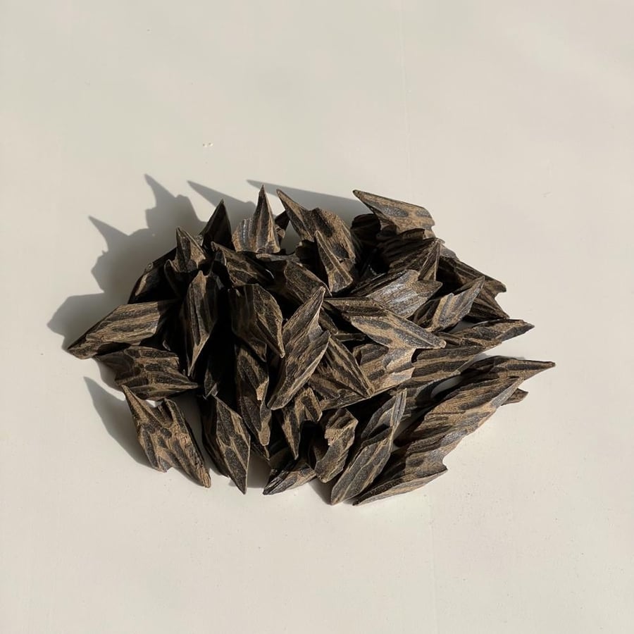 Vietnamese Taeger oud, first grade (two pieces)