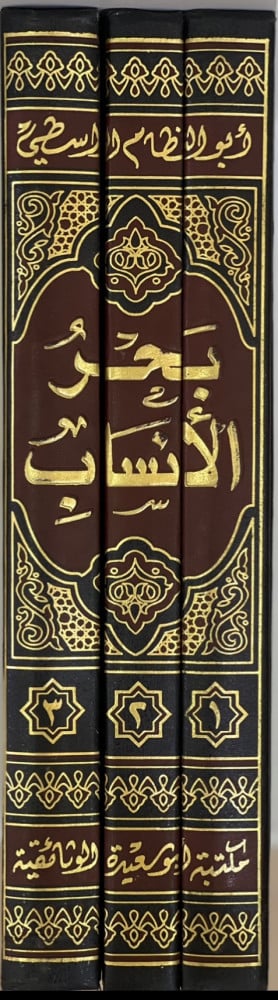 بحر الأنساب المسمى الثبت المصان بذكر سلالة سيد ولد عدنان 3/1