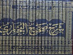 شرح الجامع الصحيح شرح صحيح البخاري 25/1