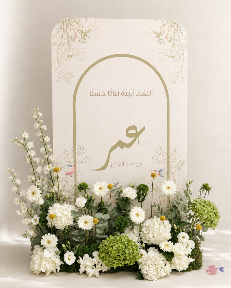 الباقه الاساسيه