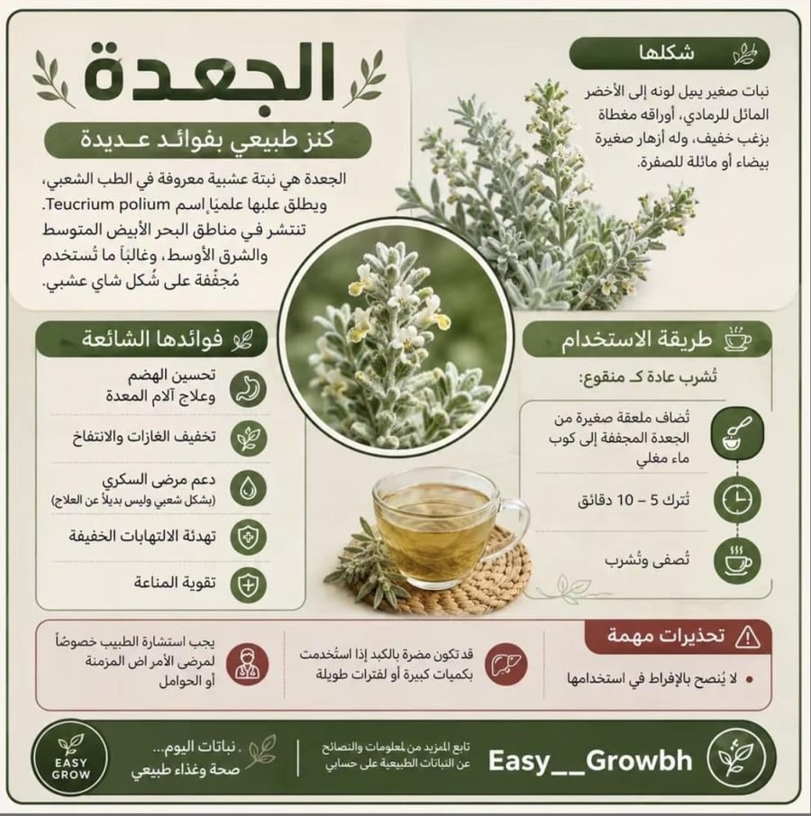 عسل الجعدة الفاخر النادر درجة اولى انتاج مناحل المقبل