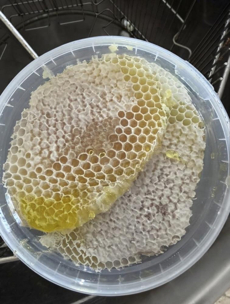 شمع عسل اثل مختوم من خلايا مناحل المقبل الفاخرة