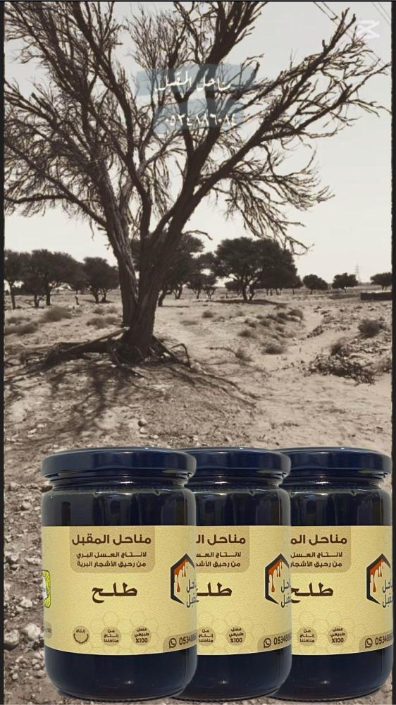 عسل الطلح النجدي الملكي الفاخر من مناحل المفبل