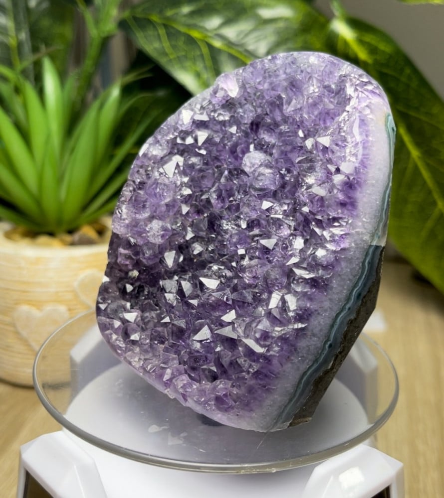 جمشت Amethyst