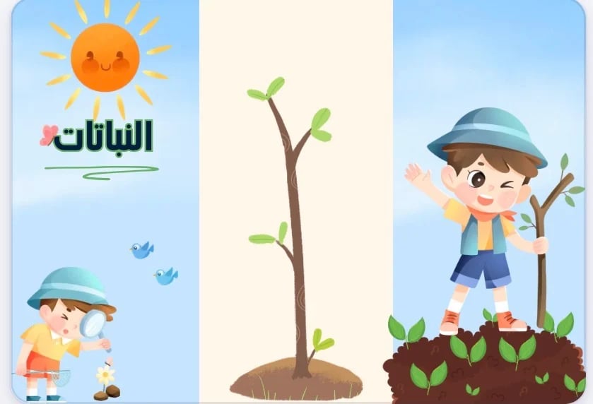 مطوية النباتات للصف الخامس