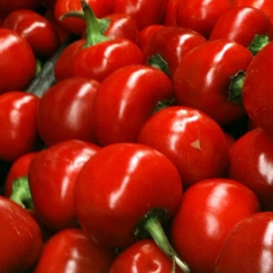 بذور الفلفل الكرزي  Cherry pepper