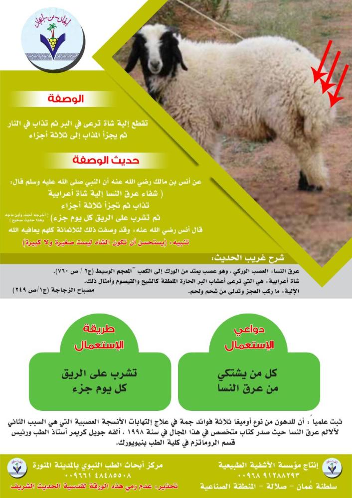 زيت إلية الخروف العضوي مخصص لعلاج عرق النسا وآلامه، وصفة مستوحاة من الهدي النبوي
