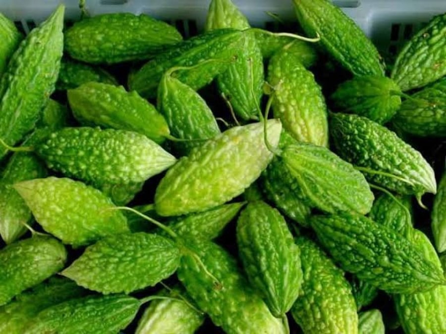 بذور القرع المر ( كولار ) - ( Momordica charantia )