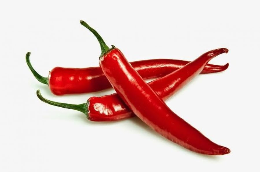 بذور فلفل حار أحمر ( Capsicum annuum )