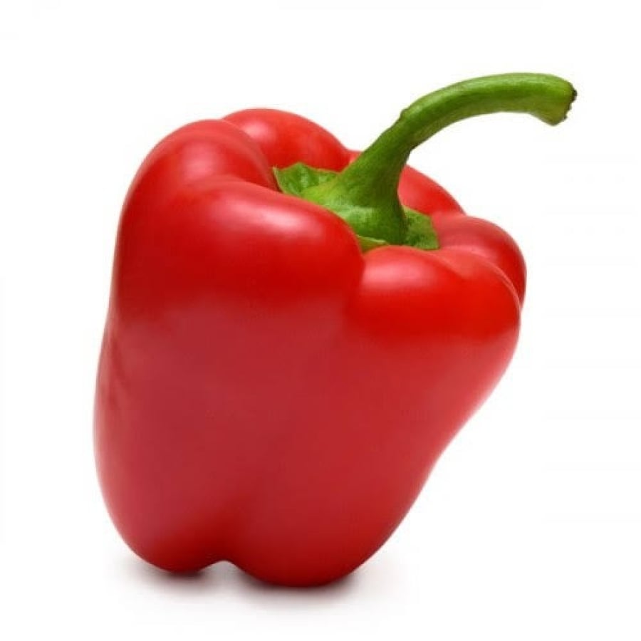 بذور فلفل أحمر بارد (  Capsicum annuum )