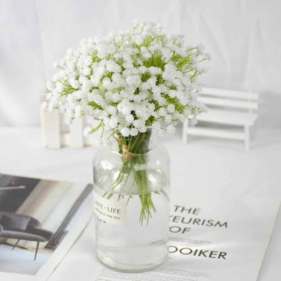بذور زهرة الجيبسوفيلا ( Gypsophila )