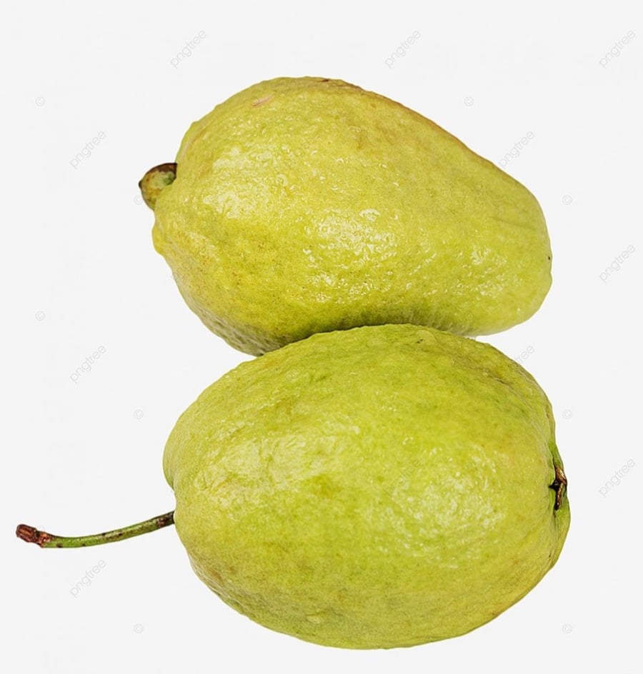 بذور شجرة الجوافه الصفرا (Psidium guajava)