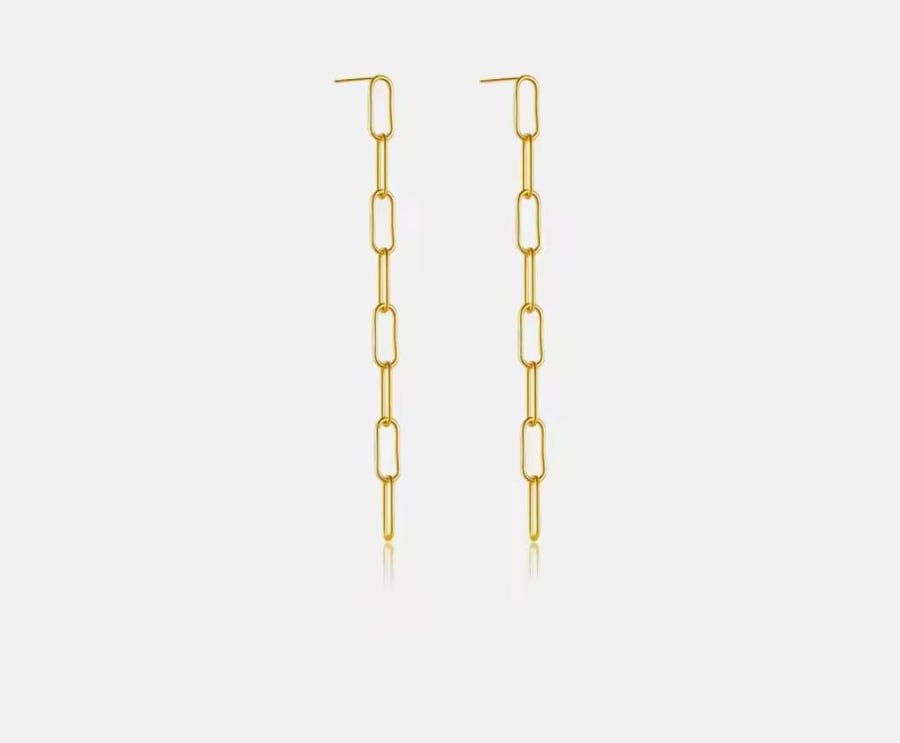A pair of earrings in the shape of a pendant chain.