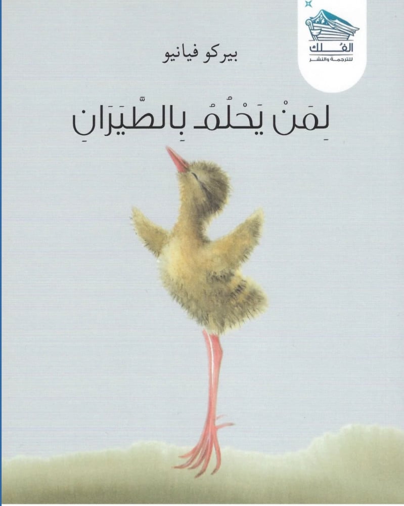 لمن يحلم بالطيران