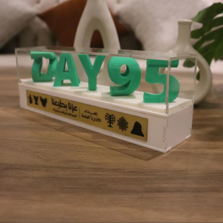 SAUDI DAY