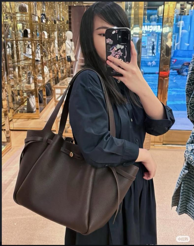 حقيبة توري بورش