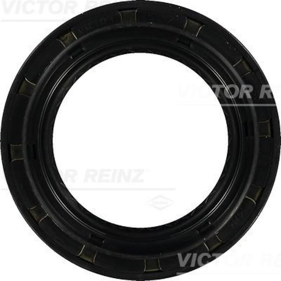 صوفة عكس خلفي Victor Reinz 81-29408-00