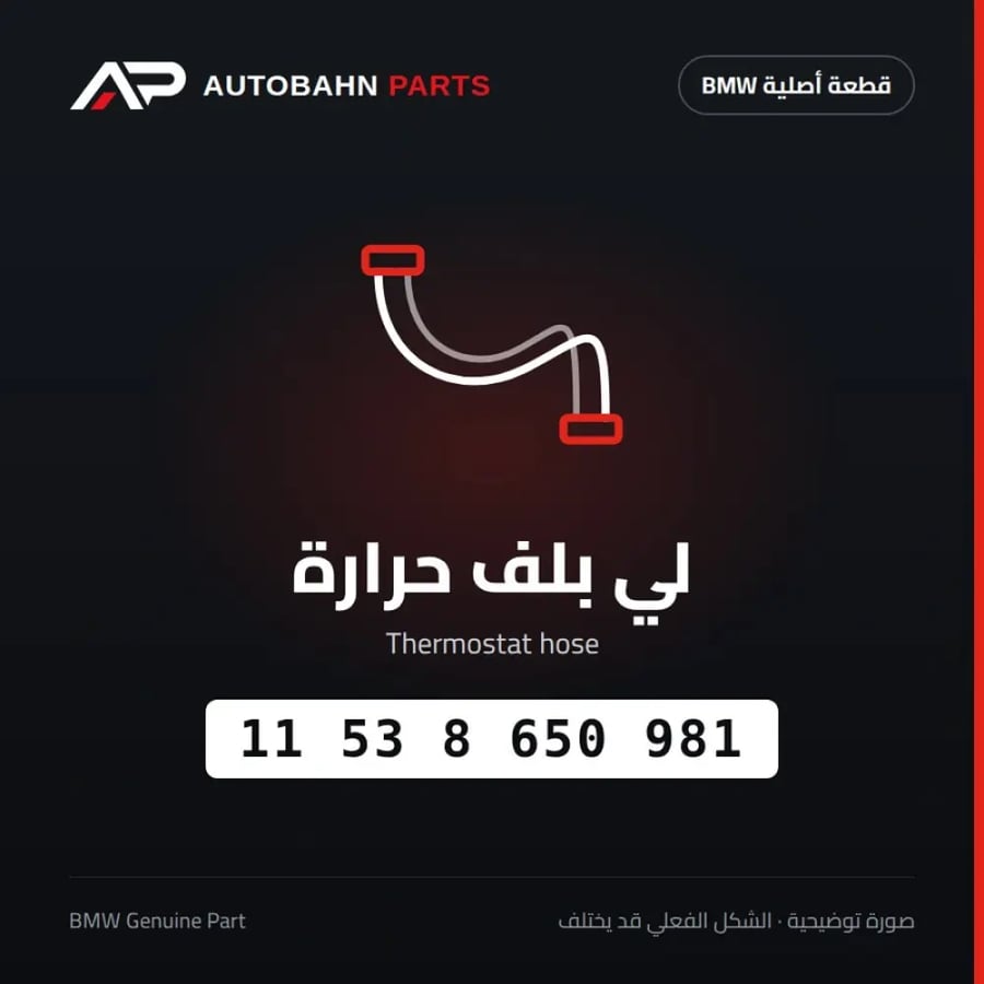 لي بلف حرارة BMW 11538650981