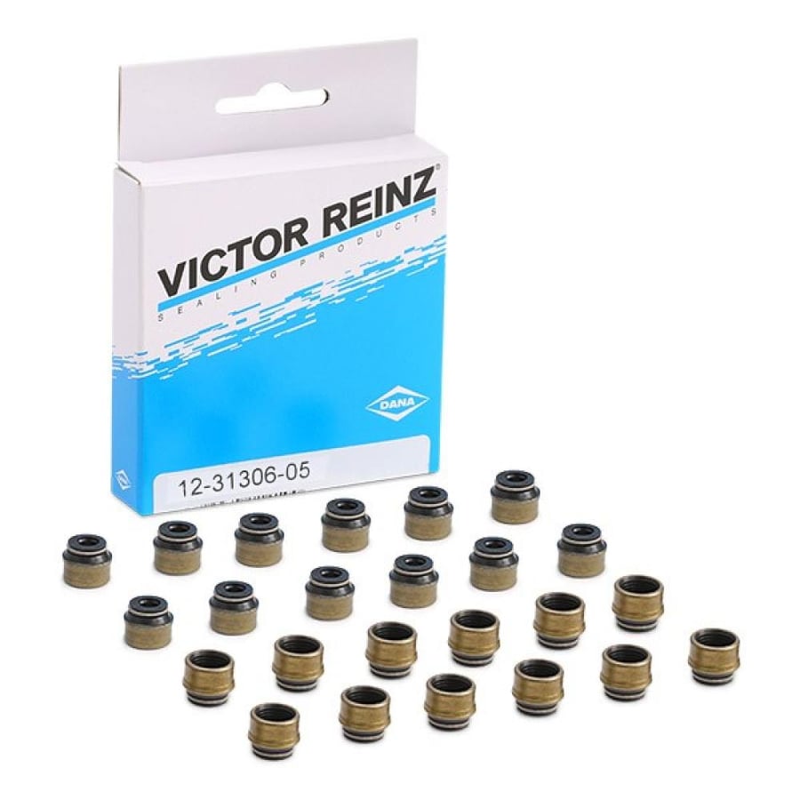ربل بلوف (24) Victor Reinz 12-31306-05