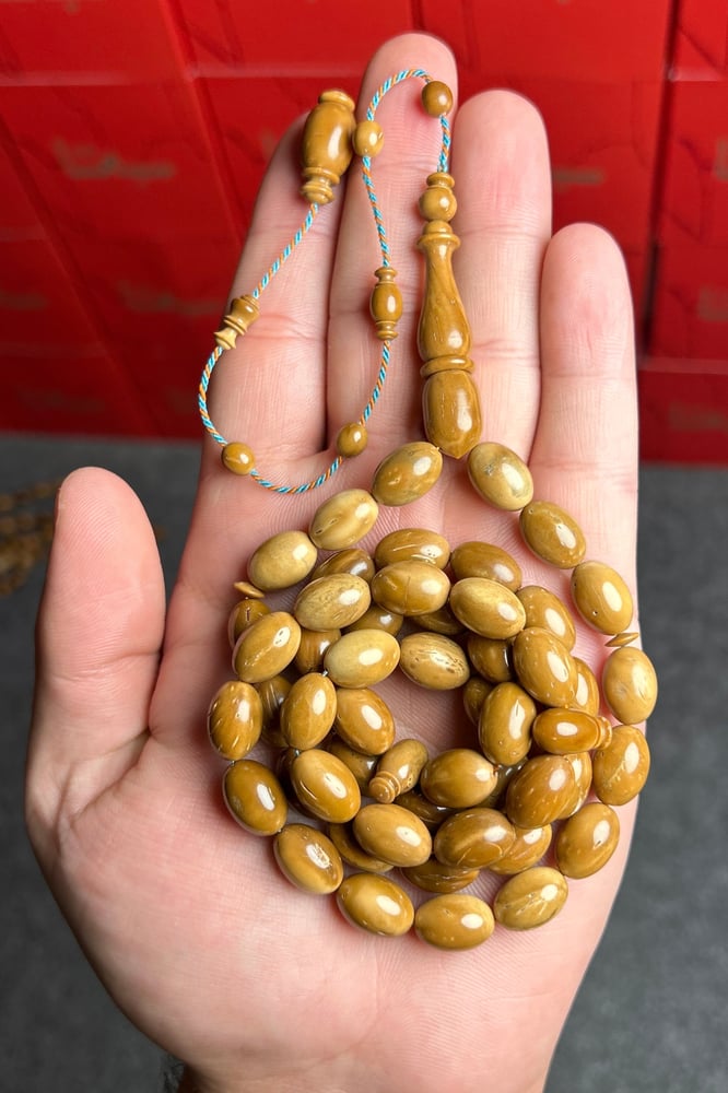 كوك بيضاوي صبري فارس