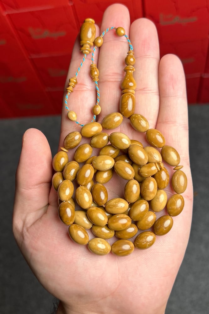كوك بيضاوي صبري فارس