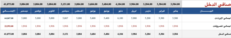 النسخة العربية - التنظيم المالي لعام 2024