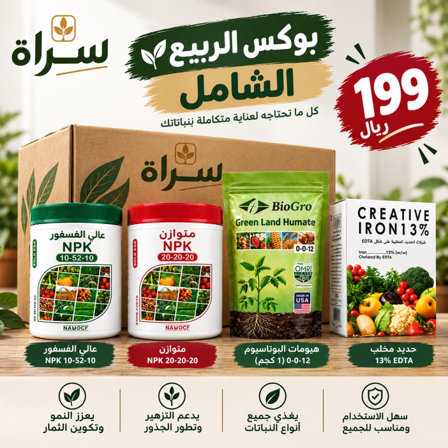 بوكس الربيع الشامل