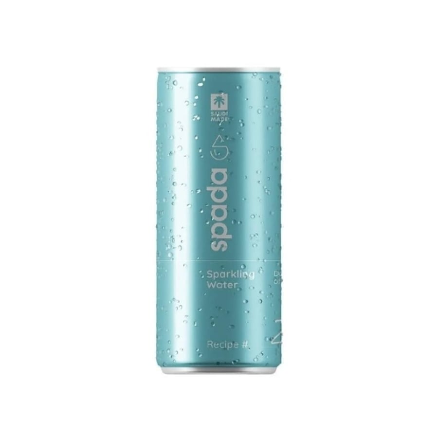 مياه غازية سبادا 250 مل - Spada Sparkling Water