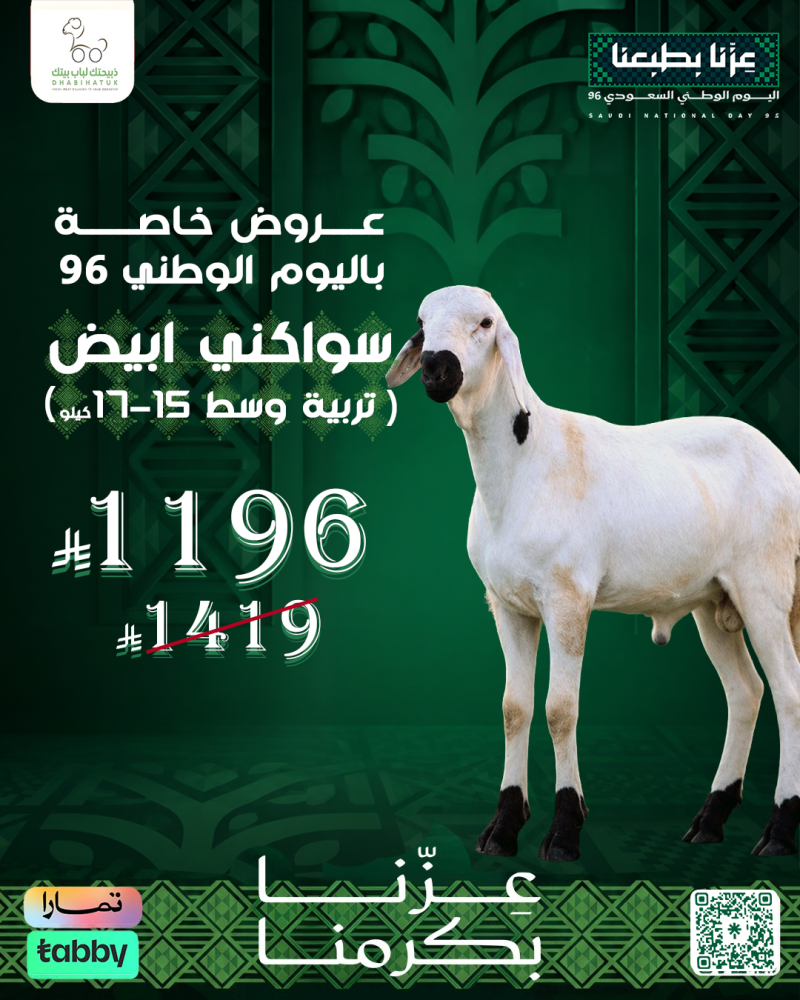 سواكنى أبيض وسط وزن (15-17) كيلو