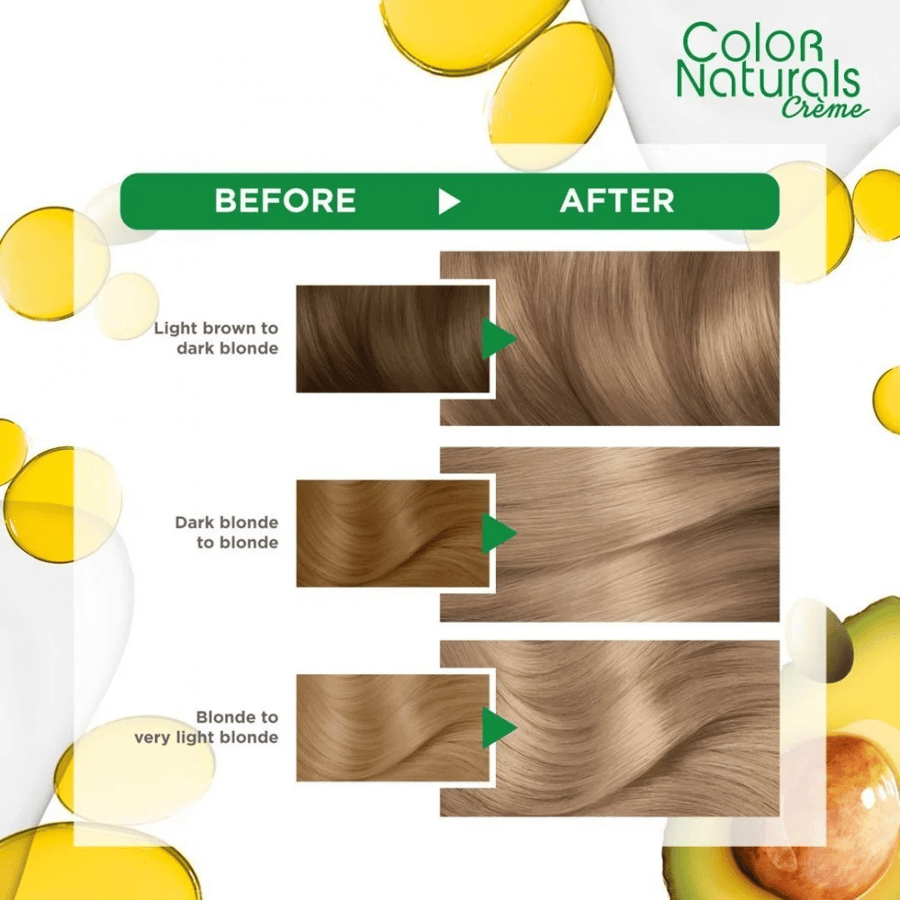صبغة غارنييه كولور ناتشرلز - 8.1 أشقر رمادي فاتح / Garnier Light Ash Blonde