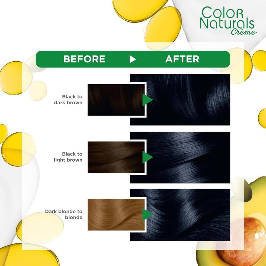 صبغة غارنييه كولور ناتشرلز - 2.0 أسود عميق لامع / Garnier Black