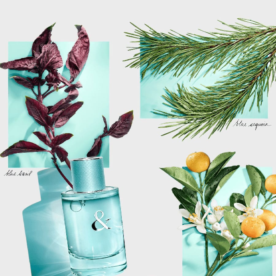 عطر تيفاني آند كو لوف فورهير من تيفاني آند كو للنساء - او دي بارفيوم |  50 ml