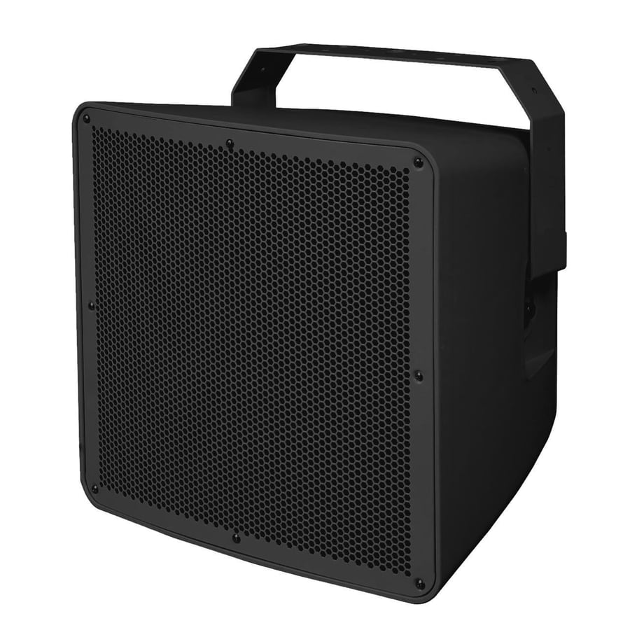 Full Range 2 Way Outdoor Speaker 12 Inches 300 Watt Available in Two Colors