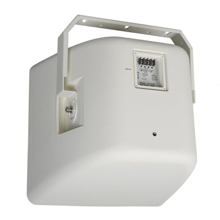 Full Range 2 Way Outdoor Speaker 12 Inches 300 Watt Available in Two Colors