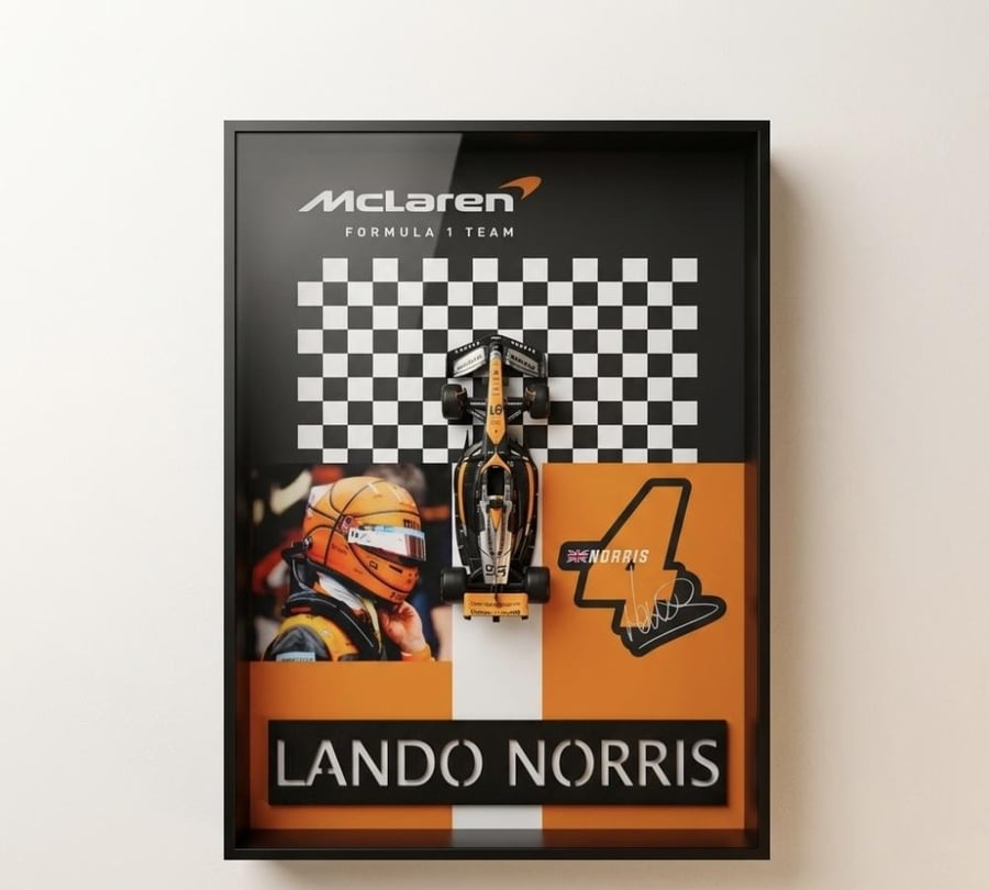 Lando Norris – F1 3D