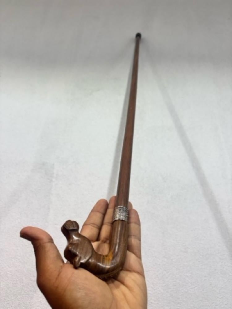 A stick on the head of a horse