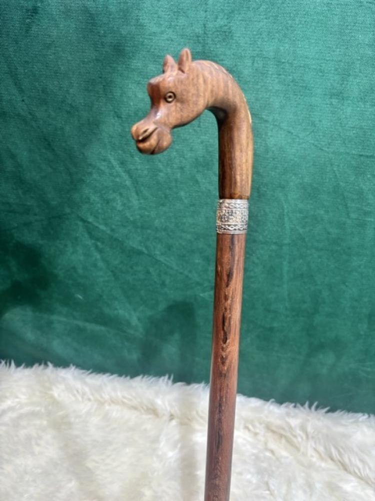 A stick on the head of a horse